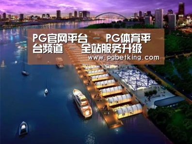 案例展示八